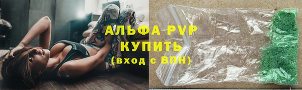 крисы Новокубанск