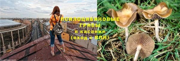 экстази Алексеевка