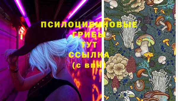 кокс Алзамай