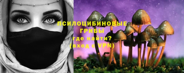 синтетический гашиш Алексин