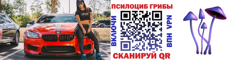Псилоцибиновые грибы GOLDEN TEACHER наркошоп площадка телеграм Нижняя Салда